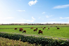 Kapelleboslaan 379_023.jpg